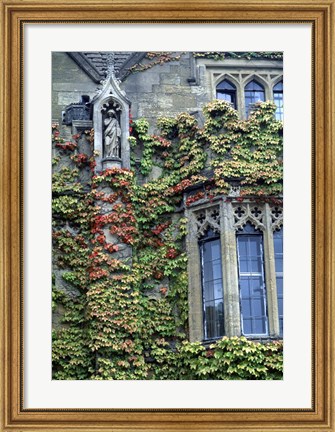 Framed Halls of Ivy, Oxford University, England Print