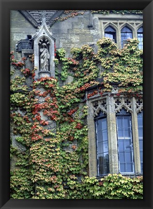 Framed Halls of Ivy, Oxford University, England Print