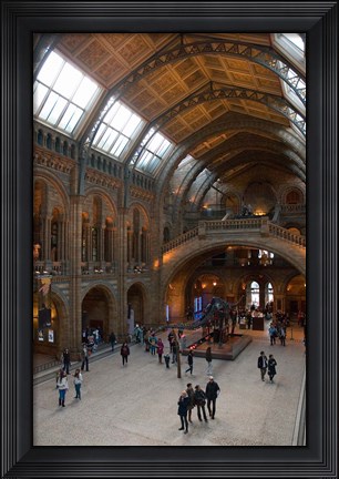 Framed England, London, Natural History Museum Great Hall Print