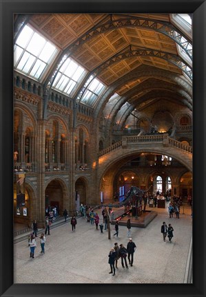 Framed England, London, Natural History Museum Great Hall Print