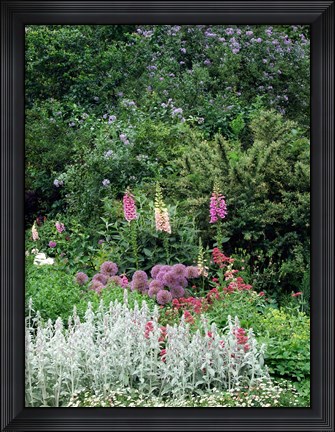 Framed Nash Garden, St James Park, London, England Print