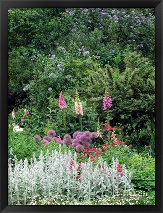 Framed Nash Garden, St James Park, London, England Print