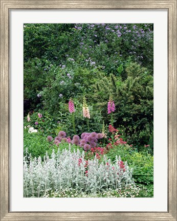 Framed Nash Garden, St James Park, London, England Print
