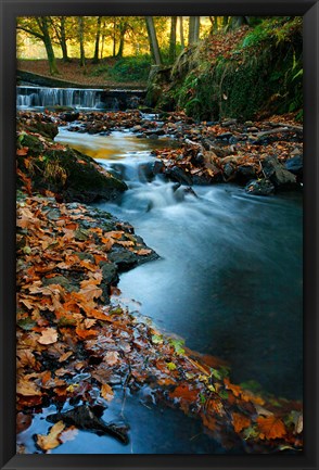 Framed Stream with Autumn Leaves, Forest of Dean, UK Print