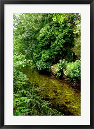 Framed England, Lake District, Cumbria, Flora Print