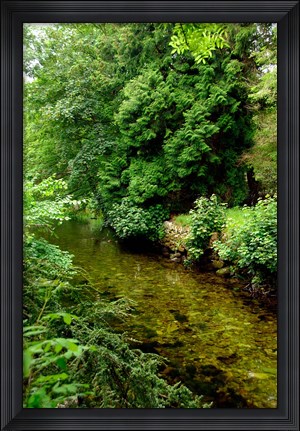 Framed England, Lake District, Cumbria, Flora Print