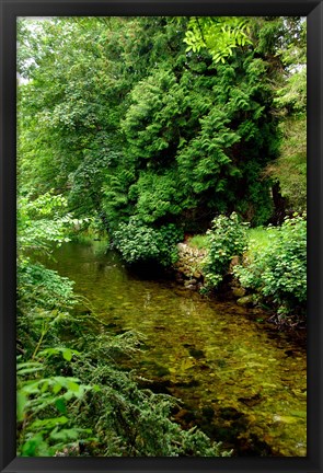 Framed England, Lake District, Cumbria, Flora Print