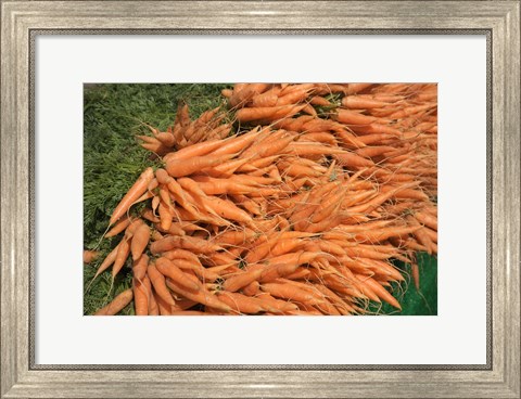 Framed Carrots, England Print