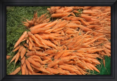 Framed Carrots, England Print