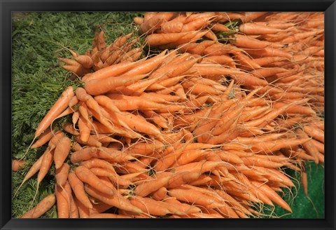 Framed Carrots, England Print