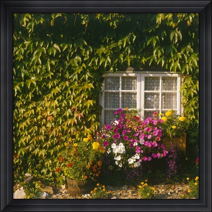 Framed Cottage, Devon, England Print