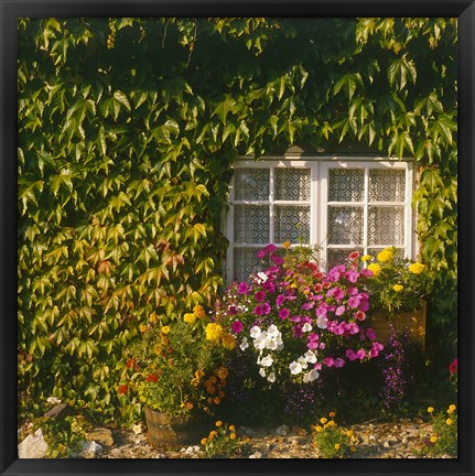 Framed Cottage, Devon, England Print