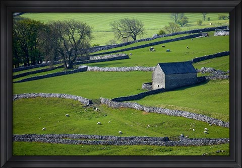 Framed Farmland, Stone Walls and Buildings, near Malham, Yorkshire Dales, North Yorkshire, England Print