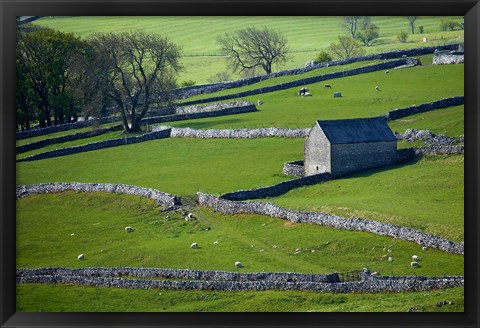 Framed Farmland, Stone Walls and Buildings, near Malham, Yorkshire Dales, North Yorkshire, England Print