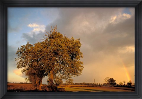 Framed Trees after Rain and Rainbow, West Yorkshire, England Print