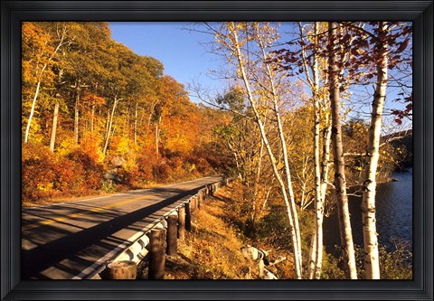 Framed Tranquil Road with Fall Colors in New England Print