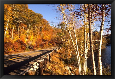 Framed Tranquil Road with Fall Colors in New England Print