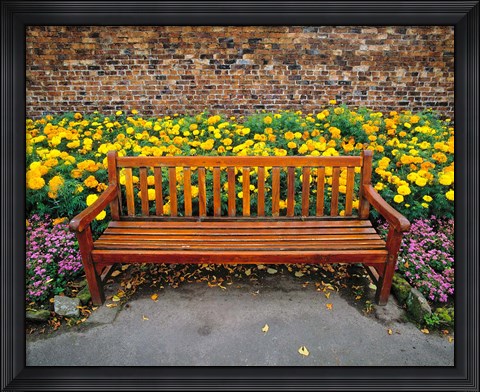 Framed England, Northumberland, Hexham, Park bench Print
