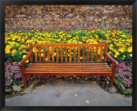 Framed England, Northumberland, Hexham, Park bench Print