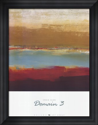 Framed Domain 3 Print