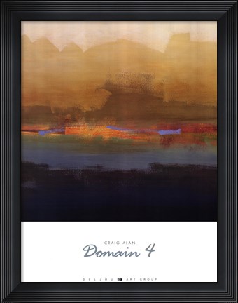 Framed Domain 4 Print