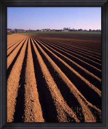 Framed Ploughed Field, Surrey, England Print
