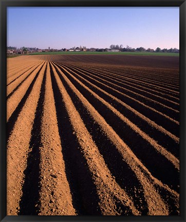 Framed Ploughed Field, Surrey, England Print