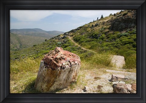 Framed Petrified Forest, Sigri, Lesvos, Mithymna, Northeastern Aegean Islands, Greece Print