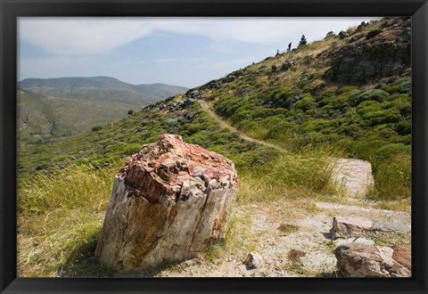 Framed Petrified Forest, Sigri, Lesvos, Mithymna, Northeastern Aegean Islands, Greece Print