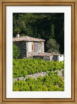 Framed Vineyard, Vourliotes, Samos, Aegean Islands, Greece Print