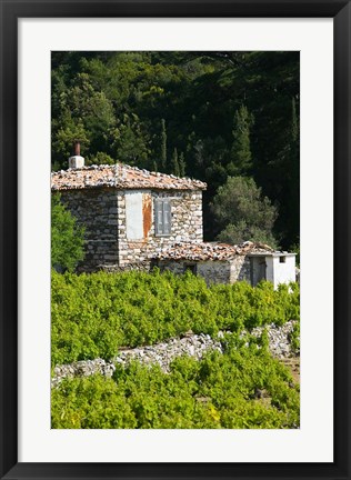 Framed Vineyard, Vourliotes, Samos, Aegean Islands, Greece Print