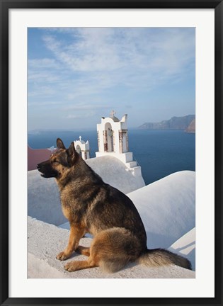 Framed Greece, Santorini, Oia, Dog, Blue Domed Churches Print