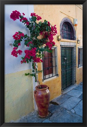 Framed Bougenvillia Vine in Pot, Oia, Santorini, Greece Print