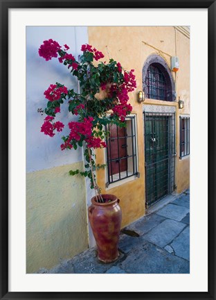 Framed Bougenvillia Vine in Pot, Oia, Santorini, Greece Print