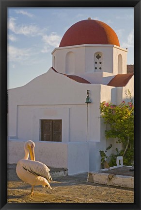 Framed White Pelican Preening, Hora, Mykonos, Greece Print