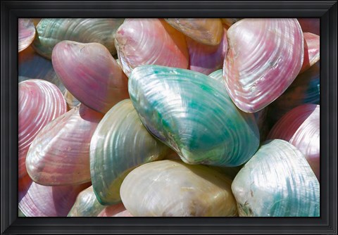 Framed Greece, Dodecanese, Rhodes, Harbor, Seashells Print