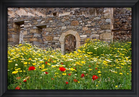 Framed Old building and wildflowers, Island of Spinalonga, Crete, Greece Print