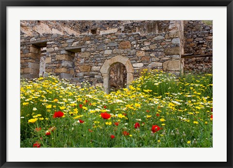 Framed Old building and wildflowers, Island of Spinalonga, Crete, Greece Print