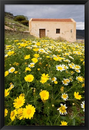 Framed Wildflowers and church of St, Island of Spinalonga, Crete, Greece Print