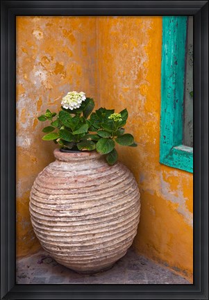 Framed Flower in pot, Crete, Greece Print