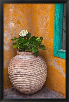 Framed Flower in pot, Crete, Greece Print