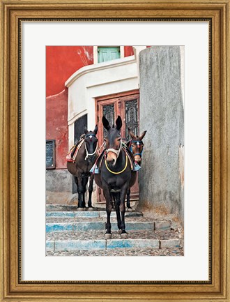 Framed Mules, Imerovigli, Santorini, Greece Print