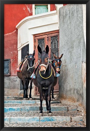 Framed Mules, Imerovigli, Santorini, Greece Print