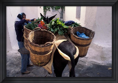 Framed Pack Mule at Market, Santorini, Greece Print