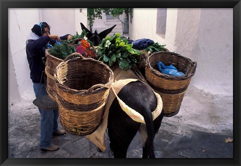 Framed Pack Mule at Market, Santorini, Greece Print