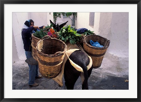 Framed Pack Mule at Market, Santorini, Greece Print