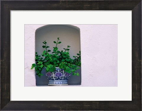 Framed Alcove Plant, Santorini, Greece Print