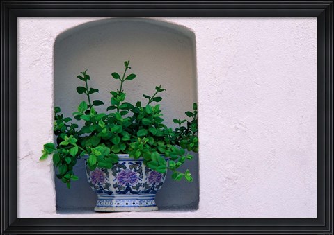 Framed Alcove Plant, Santorini, Greece Print