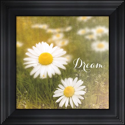 Framed Daisy Dreams Print