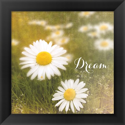 Framed Daisy Dreams Print